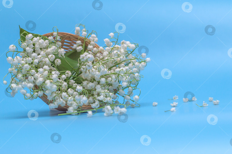 Скачать Ландыши в корзине фотосток Ozero