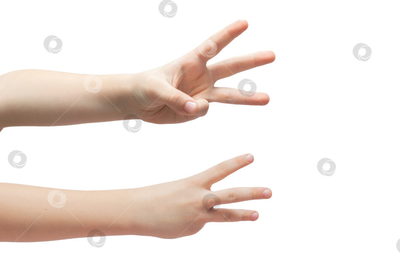 Скачать Рука ребенка изображает знак "три" на белом фоне фотосток Ozero