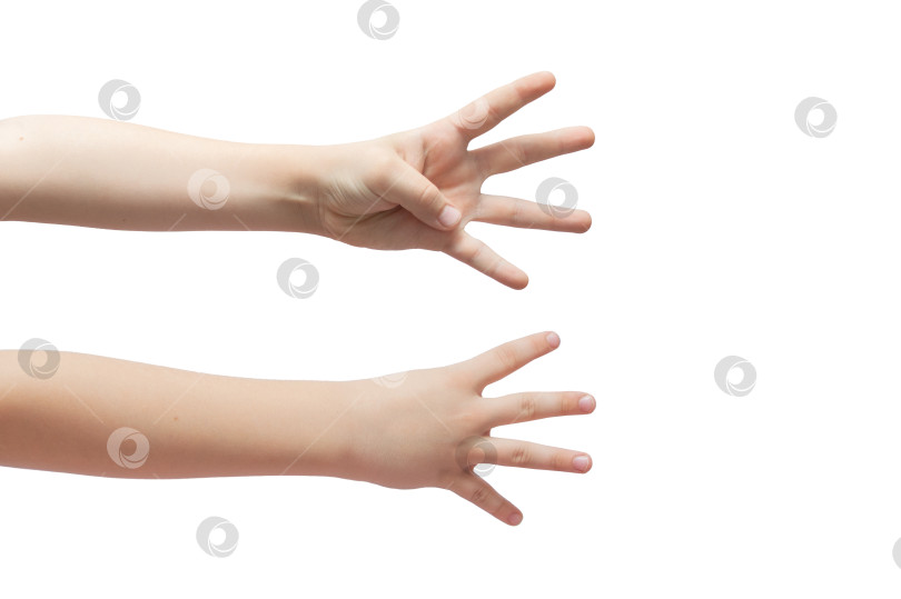 Скачать Рука ребенка изображает знак четыре на белом фоне фотосток Ozero