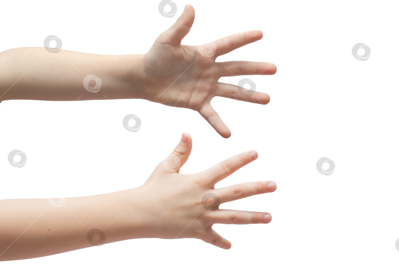 Скачать На руке ребенка изображен знак "пять" на белом фоне, открытая ладонь фотосток Ozero