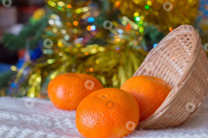 Скачать мандарины на фоне новогодней ёлки фотосток Ozero