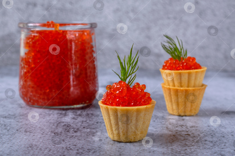 Скачать Тарталетки с красной икрой, украшенные зеленью укропа, закуска на сером фоне фотосток Ozero