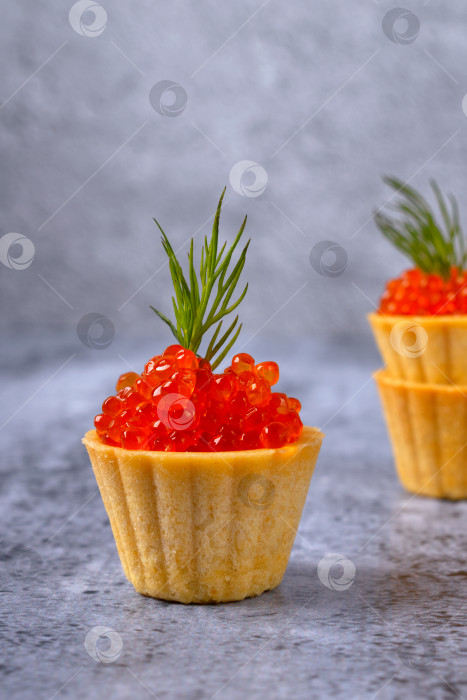 Скачать Тарталетка с красной икрой, украшенная зеленью укропа, на сером фоне фотосток Ozero