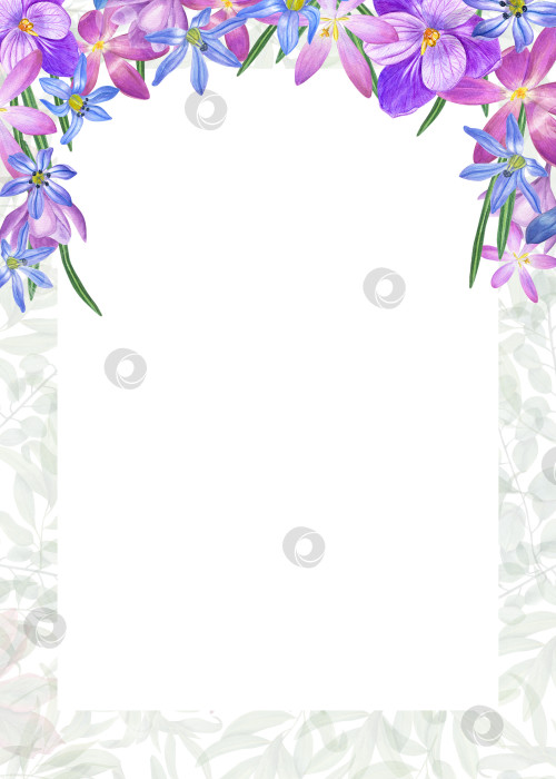 Скачать Акварельная вертикальная рамка с изображением цветов крокуса, сциллы, выделенных на фоне зеленых листьев. Весенняя иллюстрация для оформления открыток на день Святого Валентина, день рождения, свадьбу, приглашений фотосток Ozero