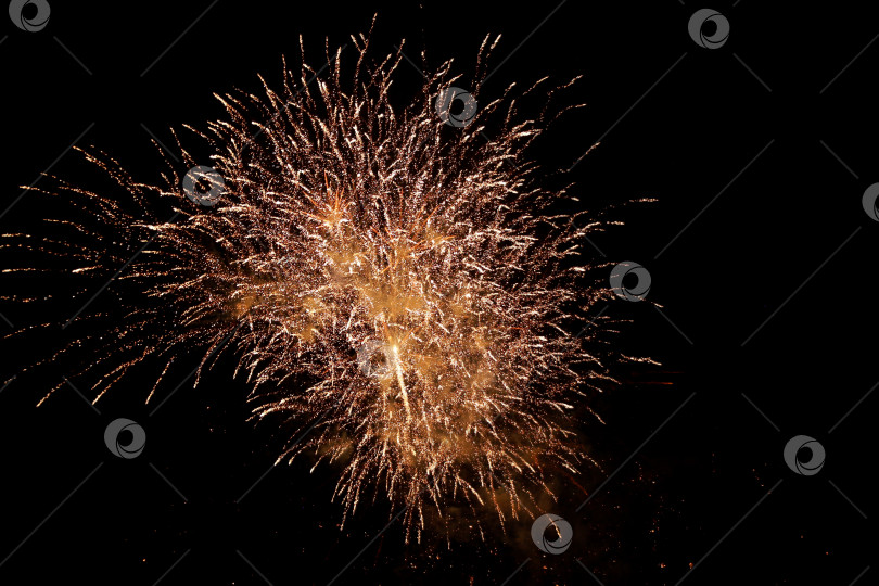 Скачать Салют фотосток Ozero