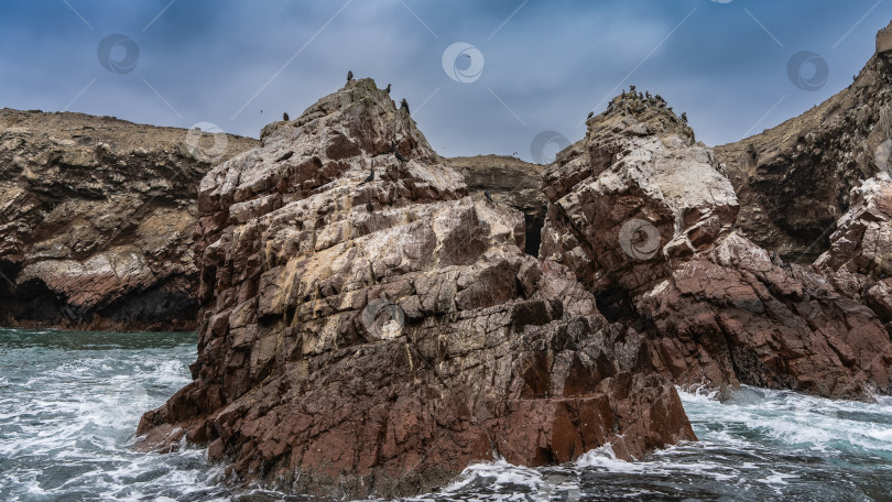 Скачать Скалистые острова в океане. Морские птицы поселились на склонах, лишенных растительности. фотосток Ozero