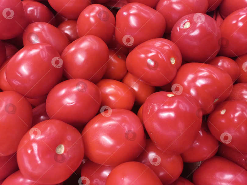 Скачать Красные мелкие помидоры крупным планом фотосток Ozero