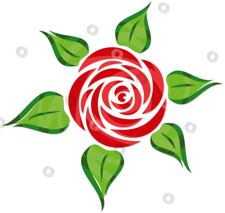 Скачать Красная роза. фотосток Ozero