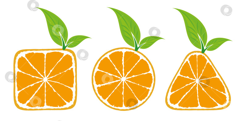 Скачать Логотипы апельсинов. фотосток Ozero