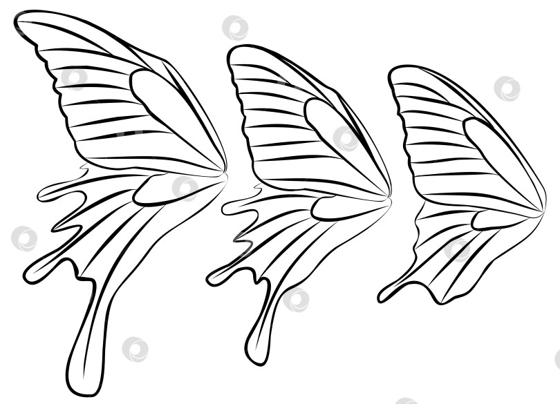 Скачать Крылья бабочки. фотосток Ozero