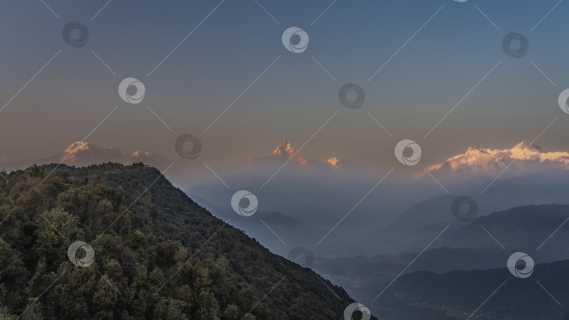 Скачать Рассвет в горах. Заснеженные вершины окрашены золотисто-розовым светом восходящего солнца фотосток Ozero