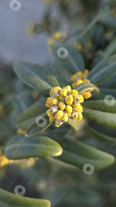 Скачать Весна фотосток Ozero