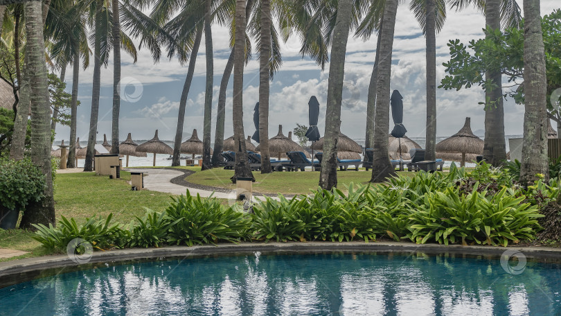 Скачать Открытый тропический бассейн голубого цвета. По периметру - зеленые насаждения. фотосток Ozero