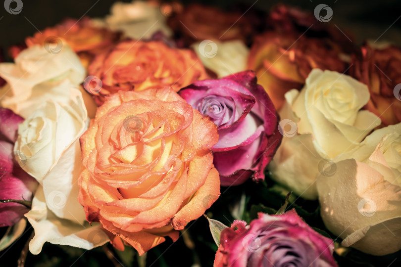 Скачать букет фотосток Ozero