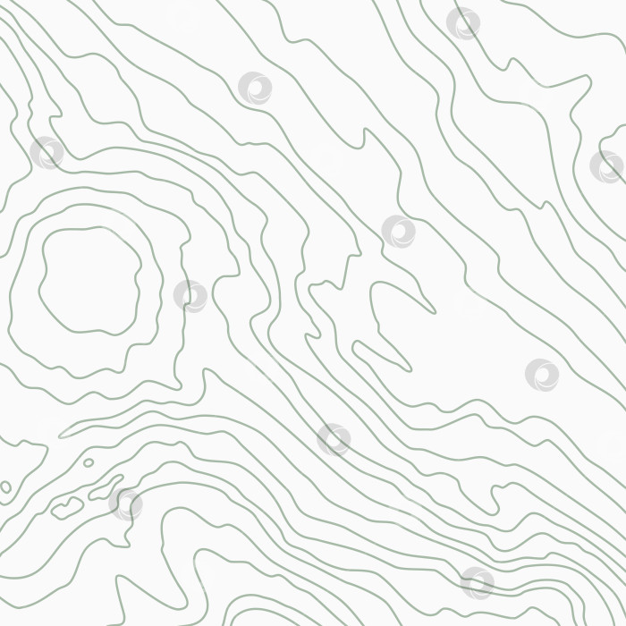 Скачать Деревянный волнистый узор. Древесные волокна, текстура белой древесины. Плотные линии. Абстрактный топографический фон. Векторная иллюстрация фотосток Ozero