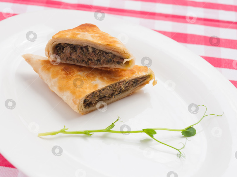 Скачать Бурек с говядиной. Традиционная турецкая и черногорская кухня фотосток Ozero