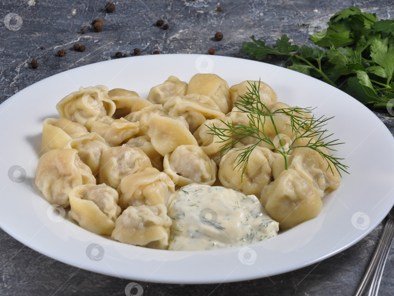 Скачать Русские пельмени с мясом и чесночным соусом на белой тарелке фотосток Ozero