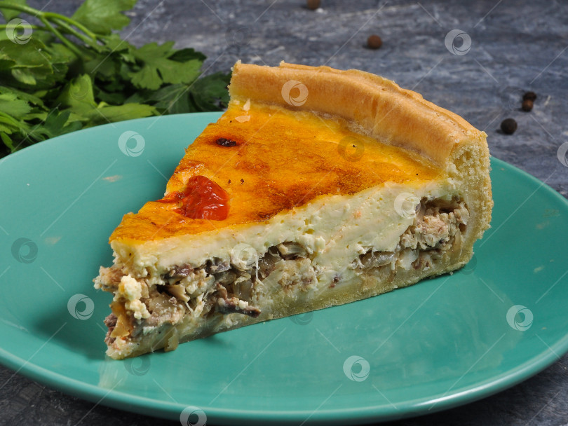 Скачать вкусное традиционное русское блюдо Киш с курицей фотосток Ozero