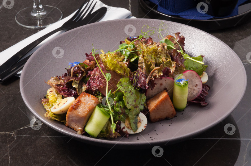 Скачать вкусный салат с жареным тунцом и свежими овощами фотосток Ozero
