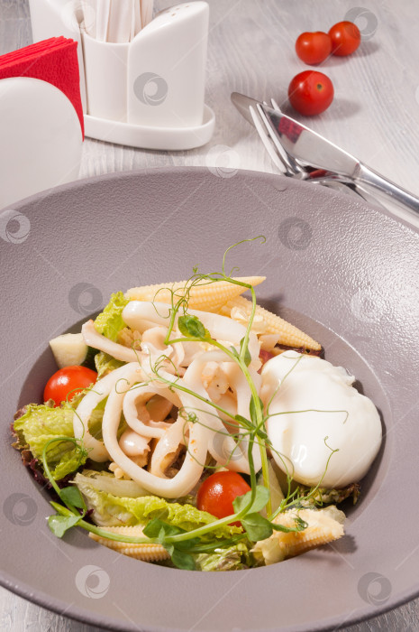 Скачать салат с кальмарами, молодой кукурузой и яйцом-пашот фотосток Ozero