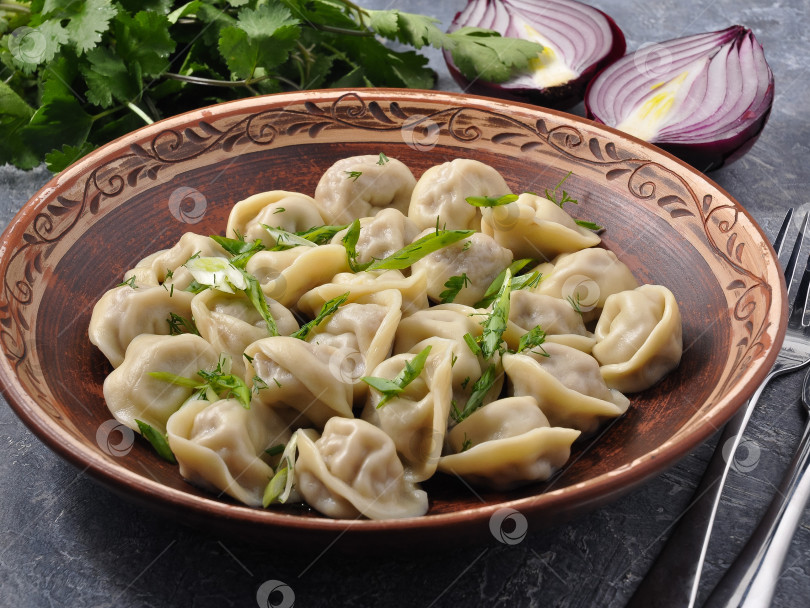 Скачать Русские пельмени с мясом, украшенные красным луком и зеленью фотосток Ozero