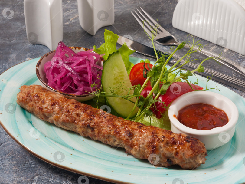 Скачать Люля-кебаб из курицы с томатным соусом, луком и овощами фотосток Ozero