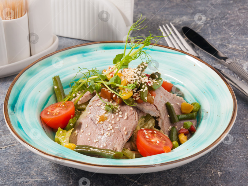 Скачать салат с говядиной, фасолью и овощами фотосток Ozero
