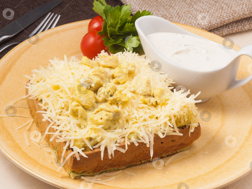 Скачать Бельгийские вафли с курицей, пармезаном и соусом фотосток Ozero
