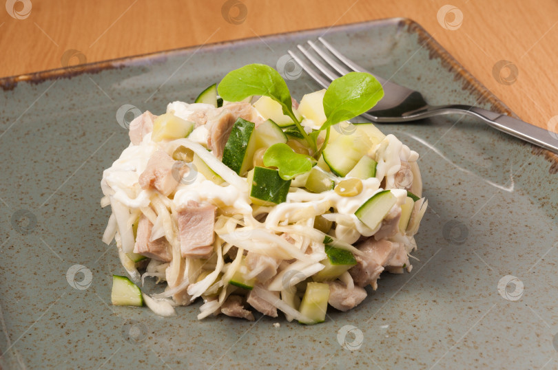 Скачать салат с огурцом, капустой, куриным филе. закрыть фотосток Ozero