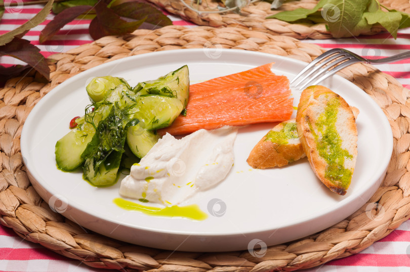 Скачать лосось с ломаными огурцами и мягким сыром фотосток Ozero