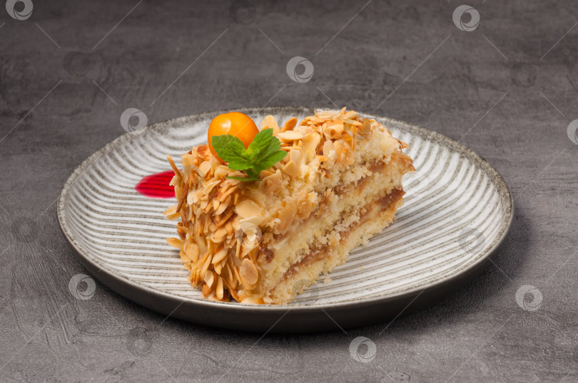 Скачать кусочек торта с орехами и сгущенкой фотосток Ozero