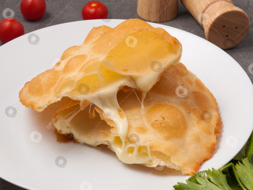 Скачать чебурек с сыром. необычное сочетание классических блюд фотосток Ozero