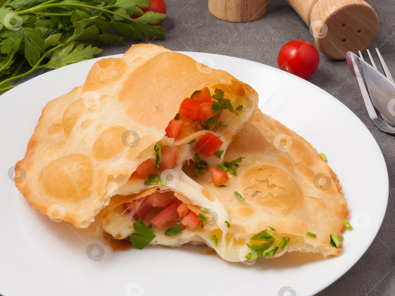 Скачать чебурек с помидорами, сыром и зеленью. Необычное сочетание классических блюд фотосток Ozero