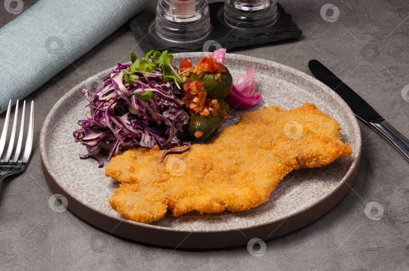 Скачать куриный шницель с гарниром из красной капусты и огурцов фотосток Ozero