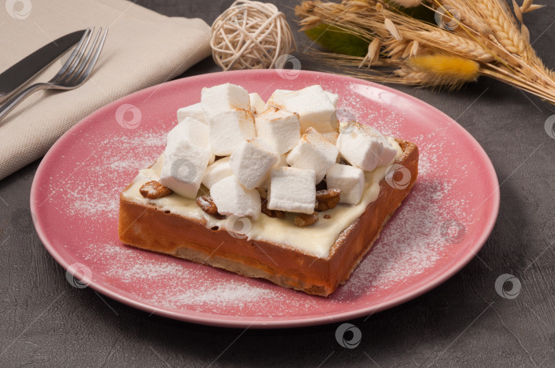 Скачать сладкие вафли с зефиром, сливочным кремом и орехами фотосток Ozero