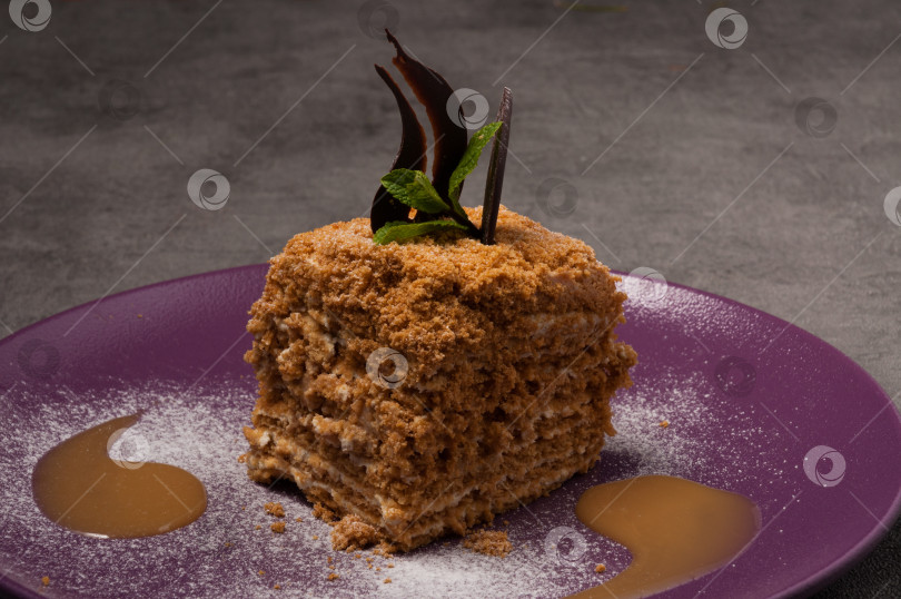 Скачать медовый торт, украшенный шоколадом, мятой и соусом фотосток Ozero