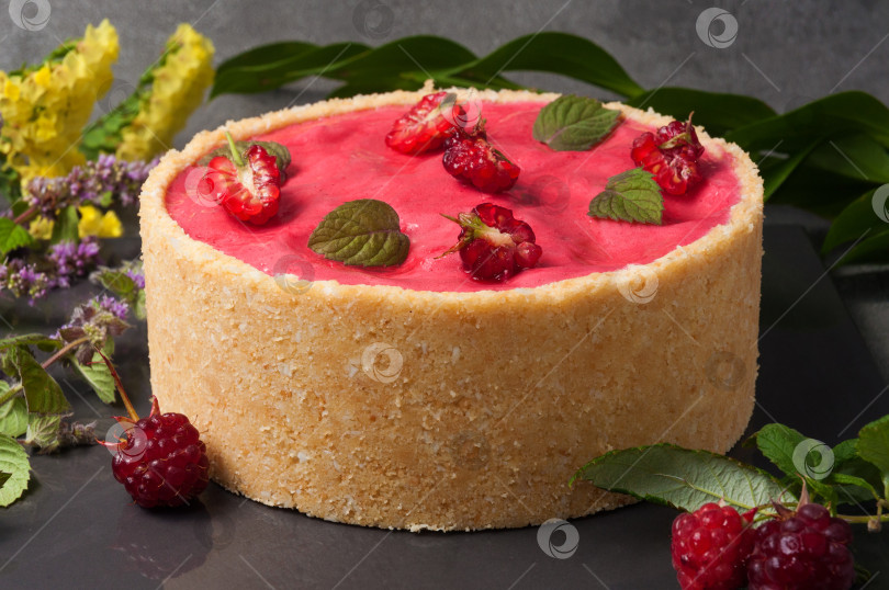 Скачать малиновый торт с малиновым муссом, йогуртовым муссом, украшенный песочным тестом фотосток Ozero
