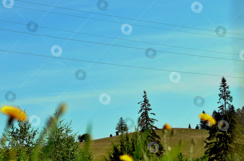 Скачать Летний пейзаж фотосток Ozero