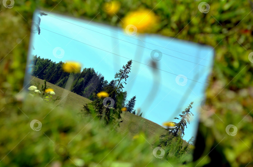 Скачать Пейзаж в отражении зеркала фотосток Ozero
