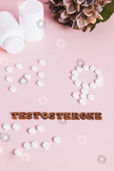 Скачать Концепция тестостеронотерапии и поддержки женщин по вертикали фотосток Ozero