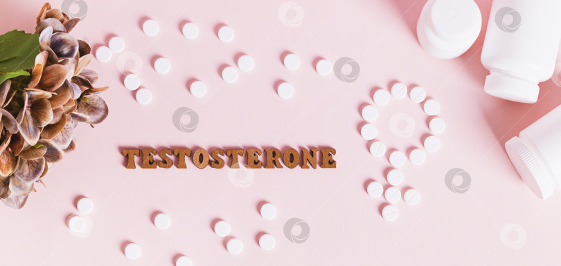 Скачать Концепция тестостеронотерапии и поддержки женщин Вид веб-баннера сверху фотосток Ozero