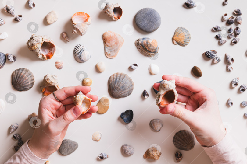 Скачать Детские ручки, держащие ракушки на фоне стола с ракушками и галькой, вид сверху фотосток Ozero
