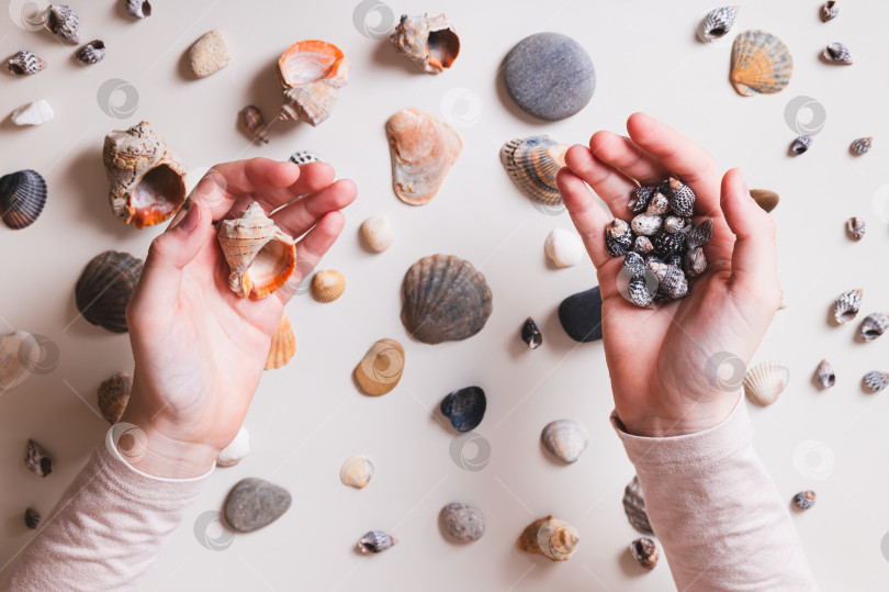 Скачать Ракушки на детских ладошках и на светлом фоне вокруг верхней части тиса фотосток Ozero