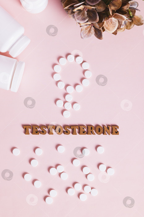 Скачать Концепция тестостероновой терапии и поддержки женщин вид сверху и по вертикали фотосток Ozero