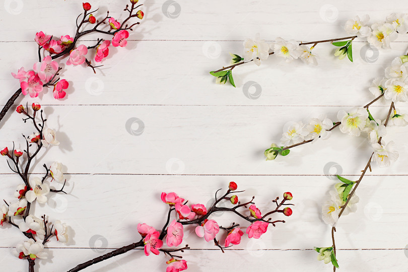 Скачать Абстрактная весенняя цветочная композиция, натюрморт с красивыми цветущими ветками сакуры и баннер на экране с пространством для текста. Открытка ко Дню матери, Международному женскому дню, дням рождения, свадьбам, подарок для любимых и шаблон для оформления. фотосток Ozero
