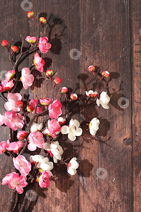 Скачать Абстрактная весенняя цветочная композиция, натюрморт с красивыми цветущими ветками сакуры и баннер на экране с пространством для текста. Открытка ко Дню матери, Международному женскому дню, дням рождения, свадьбам, подарок для любимых и шаблон для оформления. фотосток Ozero