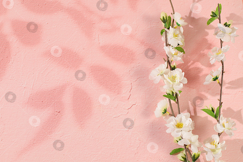 Скачать Абстрактная весенняя цветочная композиция, натюрморт с красивыми цветущими ветками сакуры и баннер на экране с пространством для текста. Открытка ко Дню матери, Международному женскому дню, дням рождения, свадьбам, подарок для любимых и шаблон для оформления. фотосток Ozero