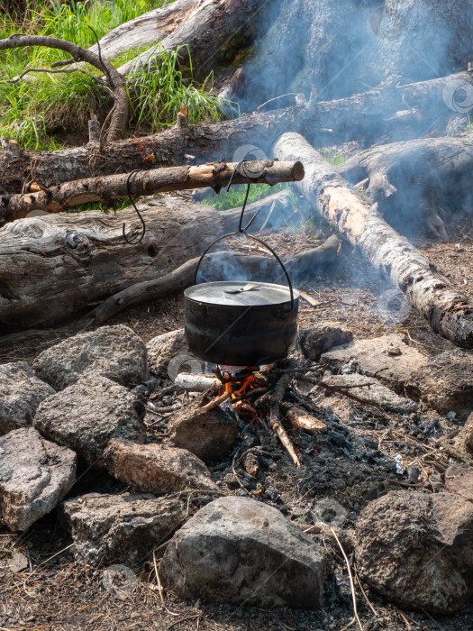 Скачать От потрескивающего костра поднимается дым фотосток Ozero