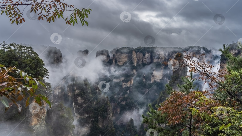 Скачать Потрясающий горный пейзаж. Высокие каменные столбы окутаны туманом. фотосток Ozero