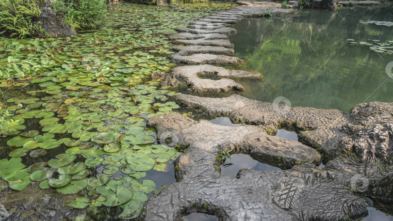 Скачать Через пруд проходит пешеходная дорожка, сделанная из причудливых бетонных секций. фотосток Ozero